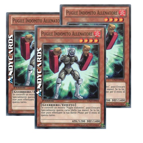 Pugile indomito allenatore - pugile,