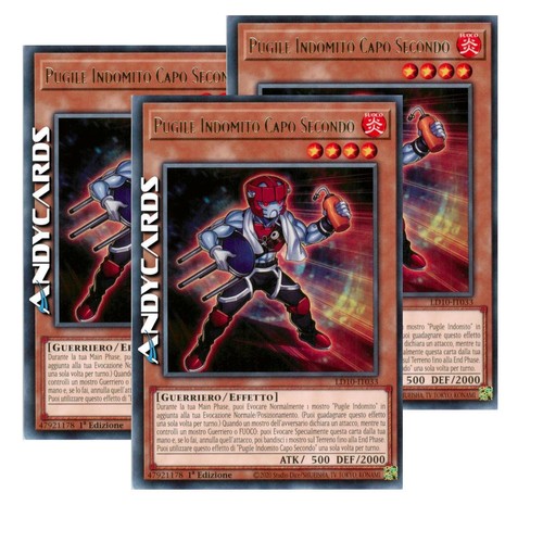 Pugile indomito capo - pugile,