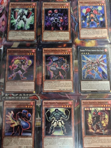 Yugioh lotto carte - carte, pugile