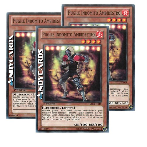 Pugile indomito ambidestro - indomito, 3x