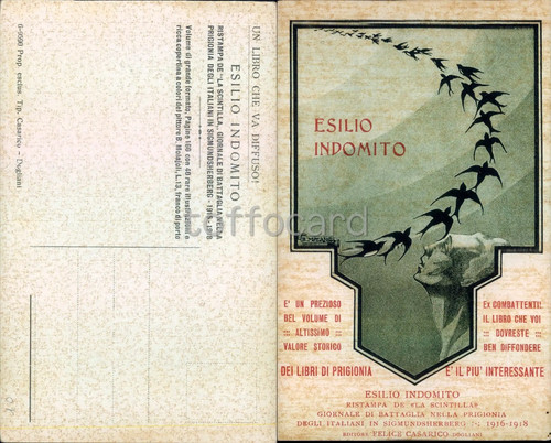 Propaganda ww1 libro esilio - propaganda,