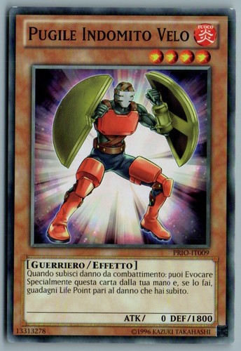 Pugile indomito velo - pugile,