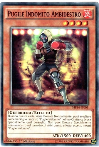 Pugile indomito - pugile,