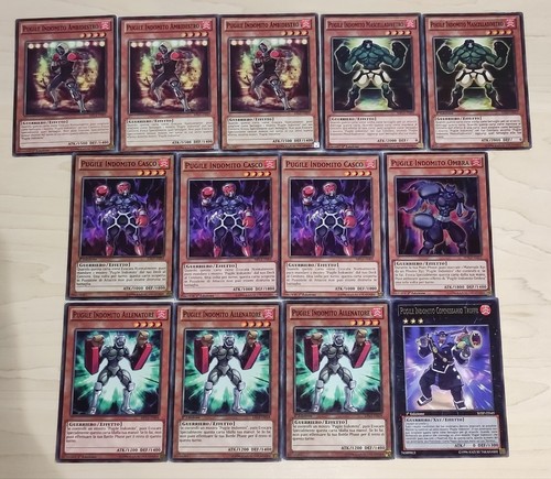 Base deck pugile indomito - deck,