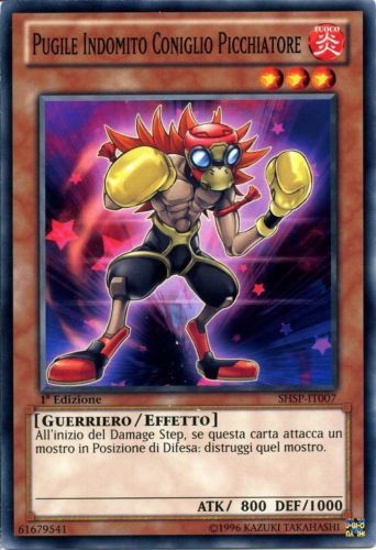 Pugile indomito coniglio - indomito,