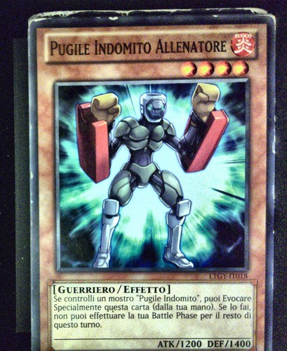 Ygo pugile indomito - ygo, allenatore