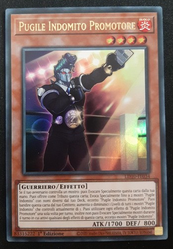 Pugile indomito promotore - indomito,
